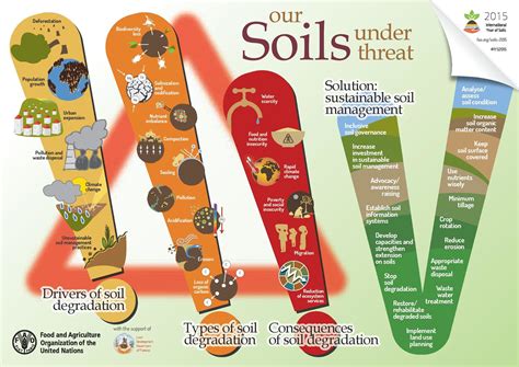 Healthy Soil Is Vital For Us And For Nature Time To Stop Destroying