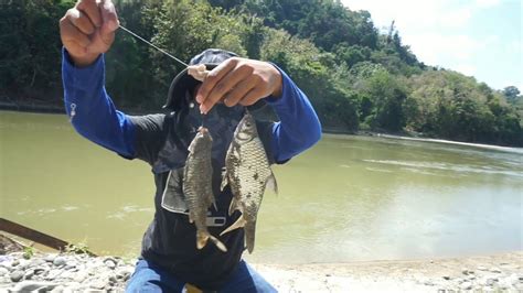 Rejeki Dapat Banyak Ikan Saat Mancing Youtube