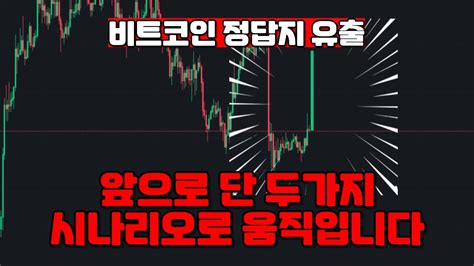 비트코인 슈퍼사이클 카운트다운 Youtube