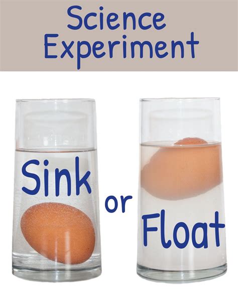 Floating Egg In Salt Water Science Project