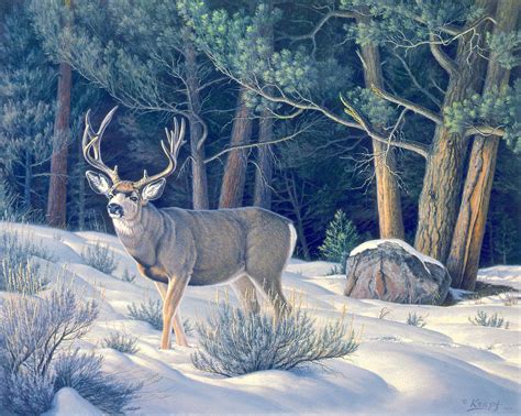 Confrontation Mule Deer Buck Painting By Paul Krapf