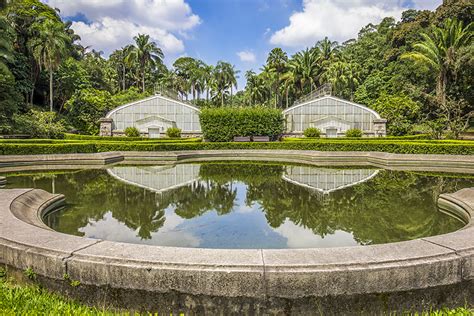 Jardim Botânico de São Paulo: Guia Prático