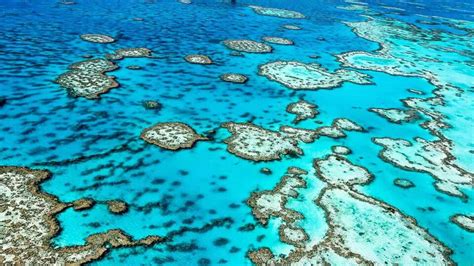 Dive & snorkel on the Great Barrier Reef