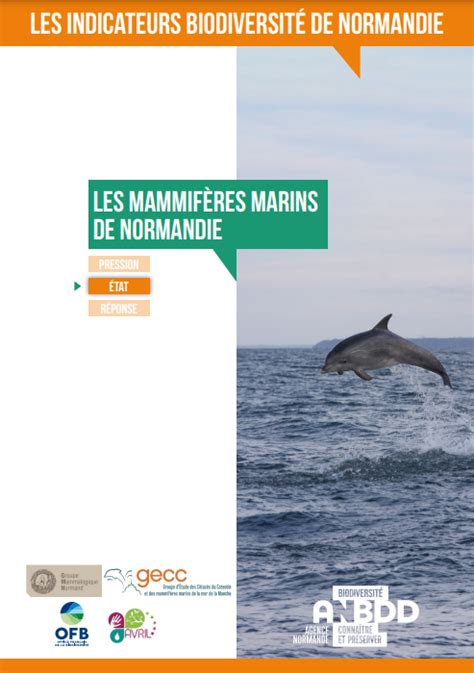 Fiche ressources Connaître et protéger les mammifères marins L