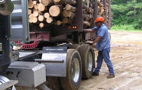 Logging Safety