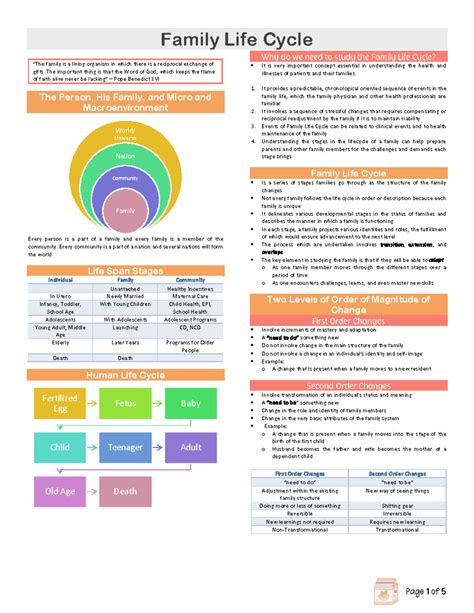 Expanded Family Life Cycle 7