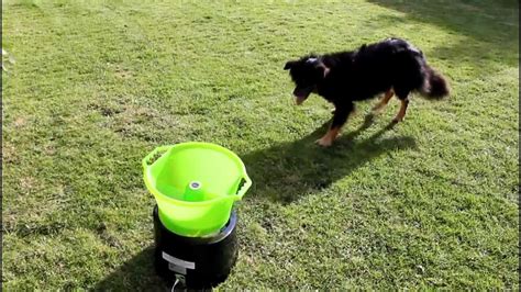 The 22 Best Ideas for Automatic Dog Ball Launcher Diy – Home, Family ...