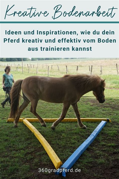 So F Rdert Kreative Bodenarbeit Dein Pferd Pferde Training Pferd