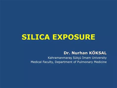 PPT - SILICA EXPOSURE PowerPoint Presentation, free download - ID:633529