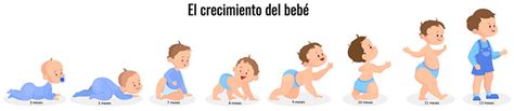 Percentil Del Bebé Tabla Y Gráfico De Crecimiento