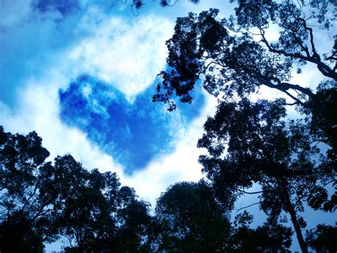images sky cloud blue daytime nature tree atmosphere