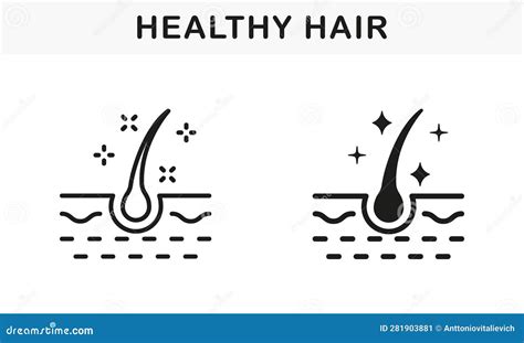 Healthy Human Follicle Shine Line And Silhouette Black Icon Set Glossy