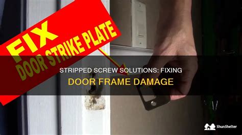 Stripped Screw Solutions Fixing Door Frame Damage Shunshelter