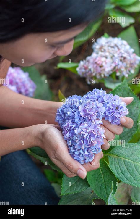 Heart Shaped Flowers Hi Res Stock Photography And Images Alamy