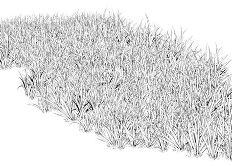 White Grass 2 Type Brushes Manga Materials