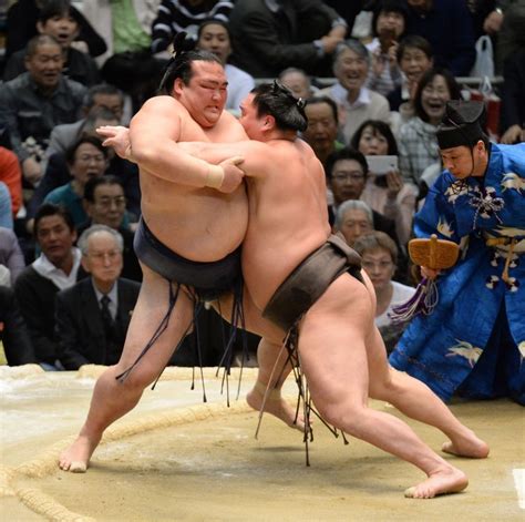 「白鵬は間違っていなかった」 元横綱・稀勢の里の荒磯親方がインタビューで明かした思い（飯塚さき） エキスパート Yahooニュース