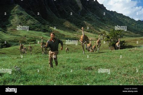 Sam Neill Jurassic Park 1993 Stockfotografie Alamy