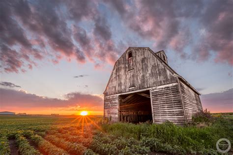 Cityview Magazine: August Feature » Rogers Photography