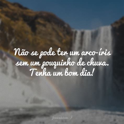 Frases Para Alegrar O Dia Que V O Trazer Nimo Em Tempos Dif Ceis