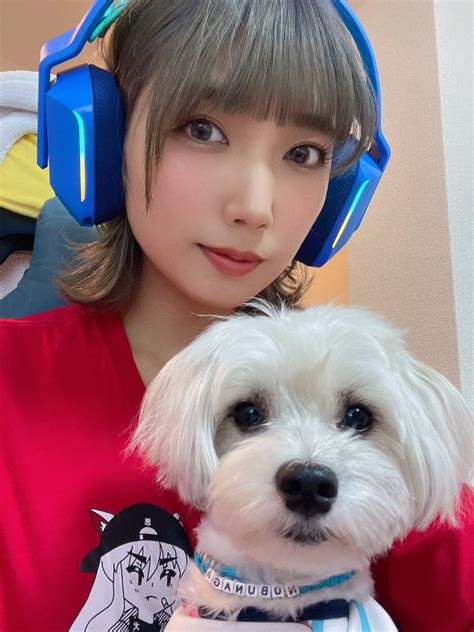 ノブくんもゲーム気になるんだって🐶 霜月めあ🌻🐶 Melomea030