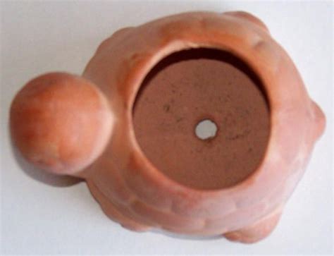 Terra Cotta Turtle Mini Planter Planters For Sale Terracotta Planters