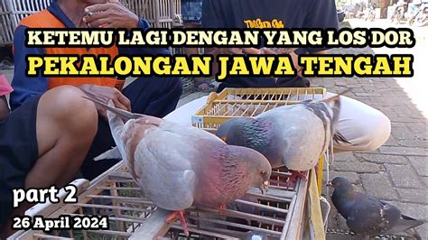 Part Ketemu Yang Losdor Di Pasar Kuripan Pekalongan Merpati Murah