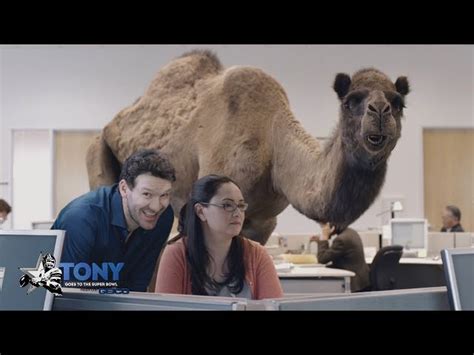 Geico Camel Hump Day