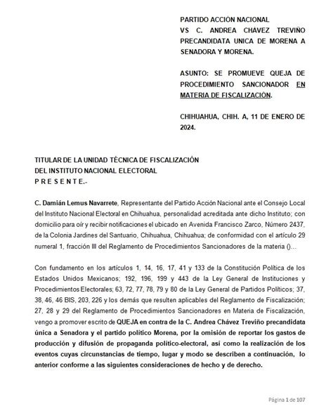 DENUNCIA PAN A ANDREA CHÁVEZ POR NO REPORTAR GASTOS DE PRECAMPAÑA