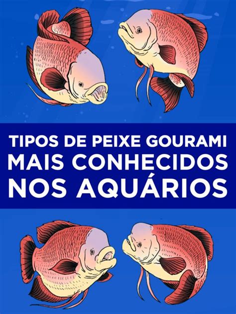 Tipos De Peixe Gourami Mais Conhecidos Nos Aqu Rios Blog Do Pescador