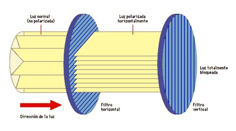 Microscop A