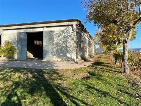 Terreno Agricolo Via Chiesole Asigliano Veneto Rif