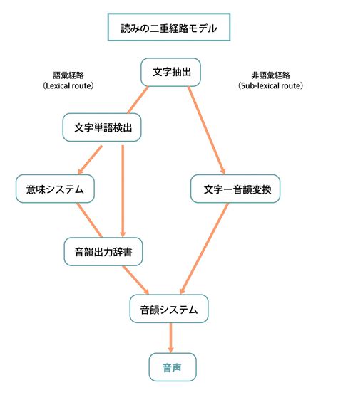 大人の軽度ディスレクシア読み書き学習障害について ディスレクシア読み書き障害の多感覚学習触るグリフ