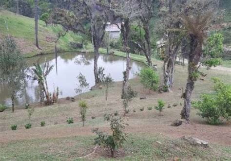 Chácaras na Zona Rural em Quatro Barras Chaves na Mão