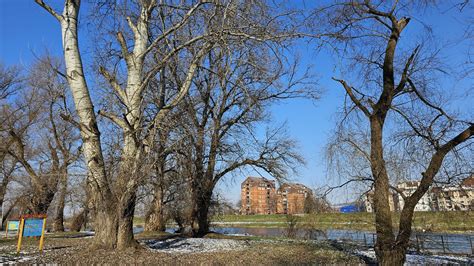 Jutro Hladno Tokom Dana Toplije Temperatura Do 10 Stepeni