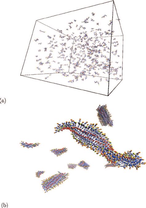 Color Representative Snapshots Obtained From Molecular Simulations