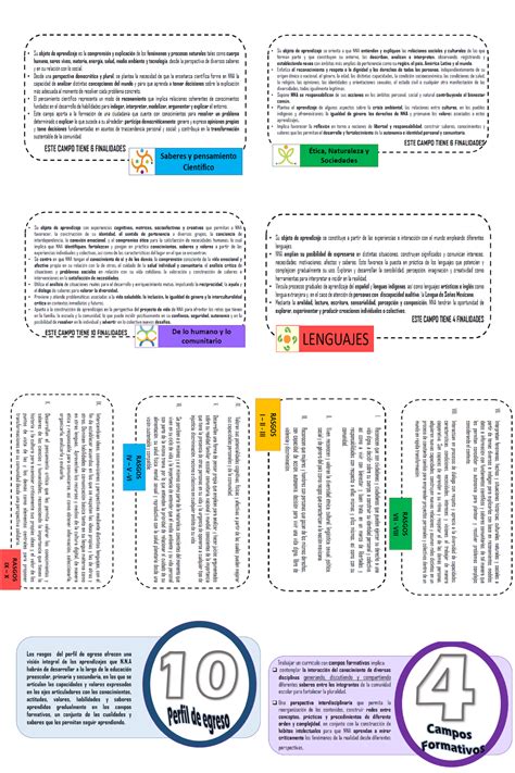 Rasgos Del Perfil Y Campos Formativos Llaveros Orientaci N Educativa