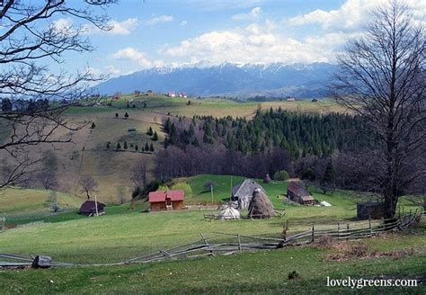 Fairy tale Farming in Eastern Europe • Lovely Greens