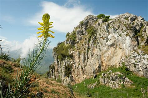 Cosa Visitare Nel Parco Dei Nebrodi Sicilia Da Vedere Tripnacria