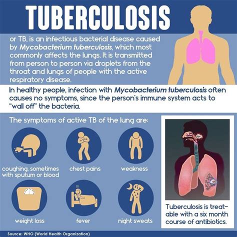 Mycobacterium tuberculosis | Kesehatan