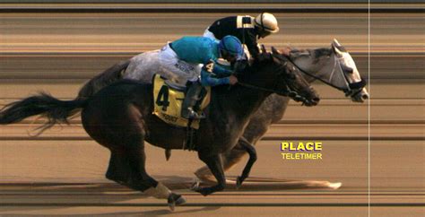 Photo Finishes | Aqueduct Racetrack