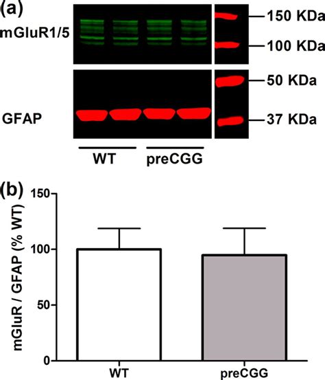 Enhanced Asynchronous Ca2 Oscillations Associated With Impaired