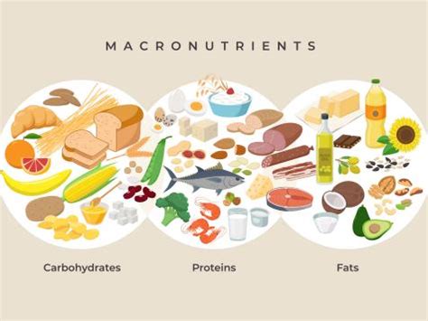 Macronutrients Foods List | Bruin Blog