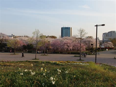 Kiba Park Koto Tokyo Guilhem Vellut Flickr