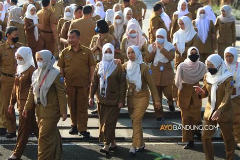 SAH Mulai 28 November Tenaga Honorer Jadi PNS Part Time Berikut