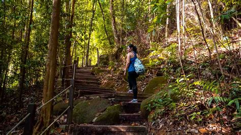 Hiking At Dairy Farm Nature Park Singapore S Most Immersive Forest Trek