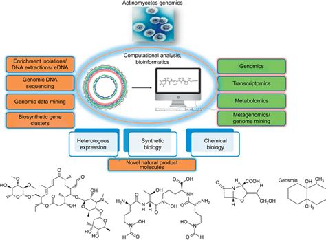 Outline Of Actinobacterial Genomics Combination Of Genome Mining