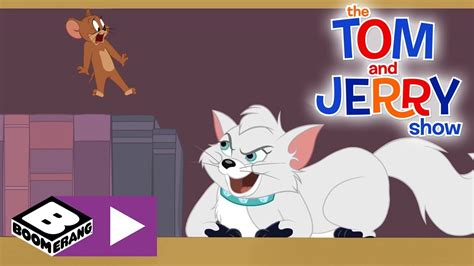 The Tom And Jerry Show Jerry Vs The Posh Kitty Princess Boomerang Uk Youtube