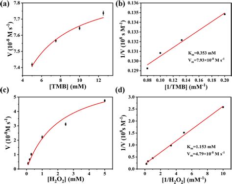 Steady State Kinetic Analysis Using The Michaelismenten Model A C