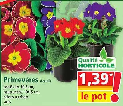 Promo Primev Res Chez Norma Icatalogue Fr