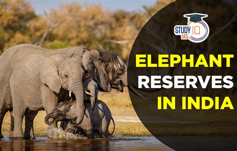 List Of Elephant Reserves In India Map Complete Updated List 2024